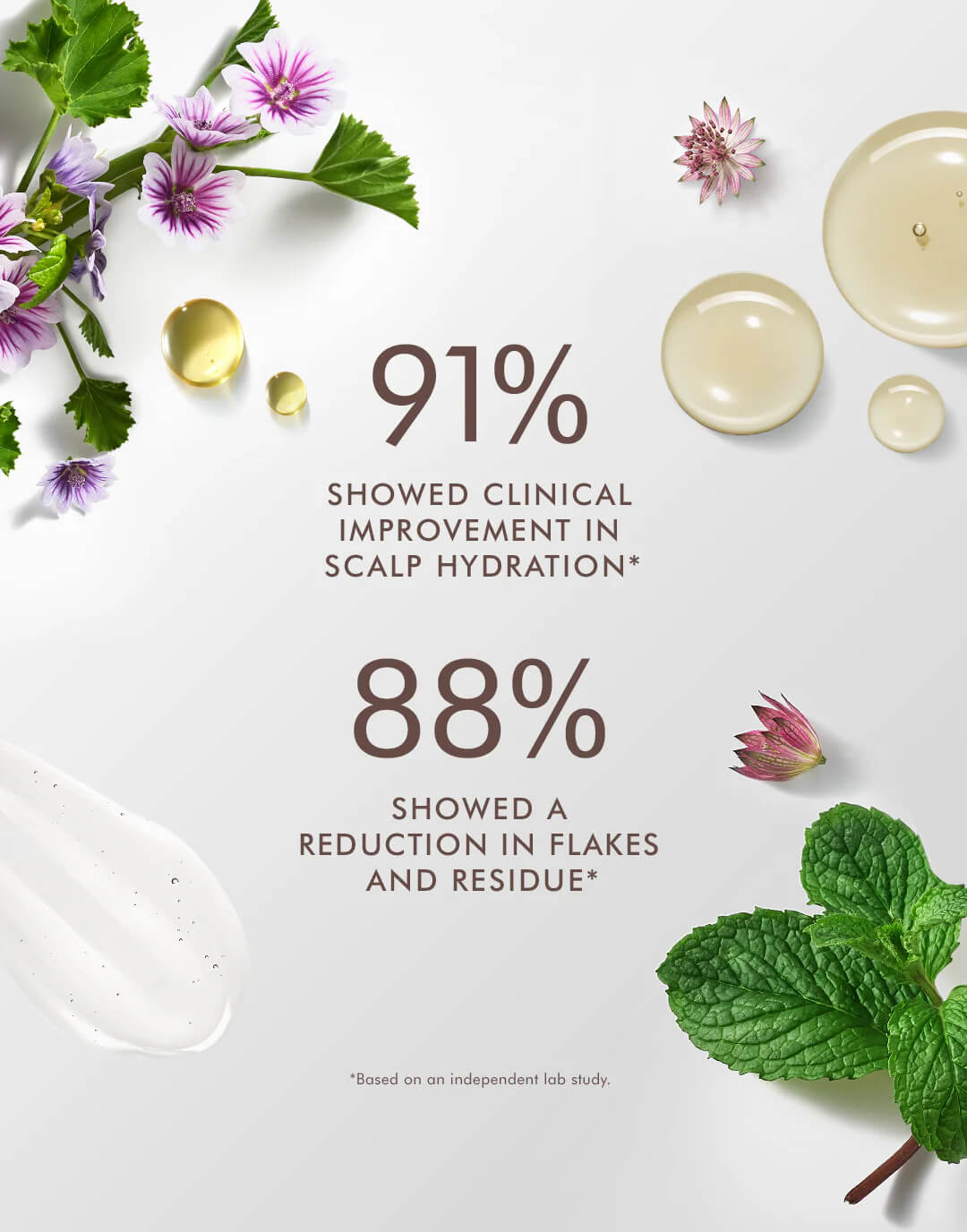 Moroccanoil Scalp Balancing Conditioner 250ml - Image 4